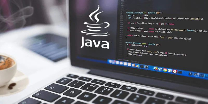 WHY TO HAVE JAVA