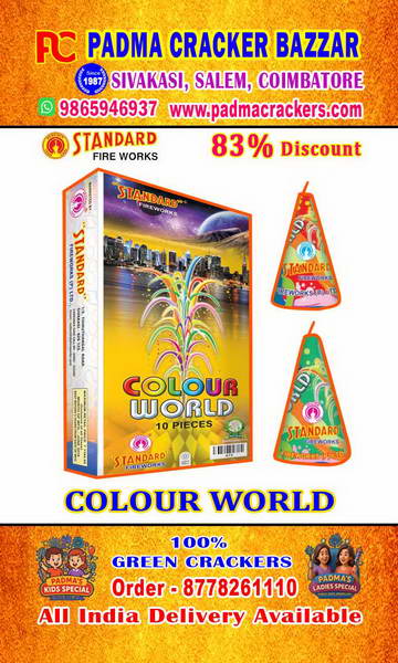 COLOUR WORLD FLOWERPOTS
