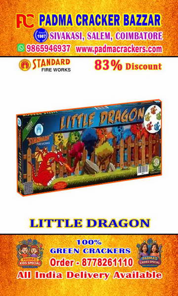 LITTLE DRAGON