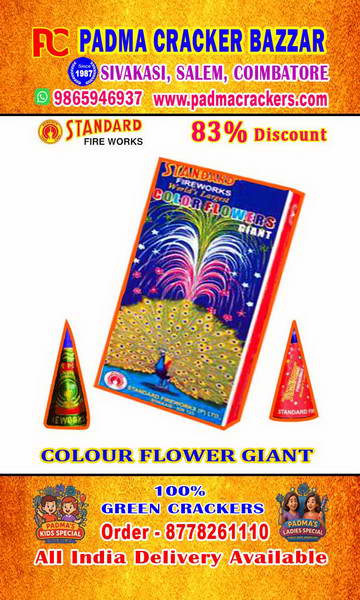 FLOWER POTS GIANT