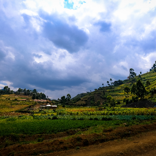 destination_1756541517_JtAOwf.png