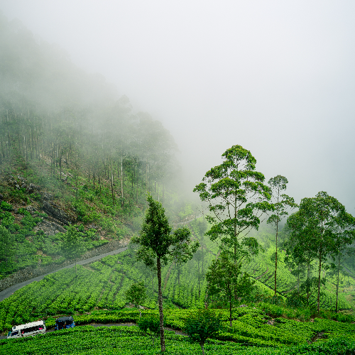 destination_1756541773_PIvYB5.png